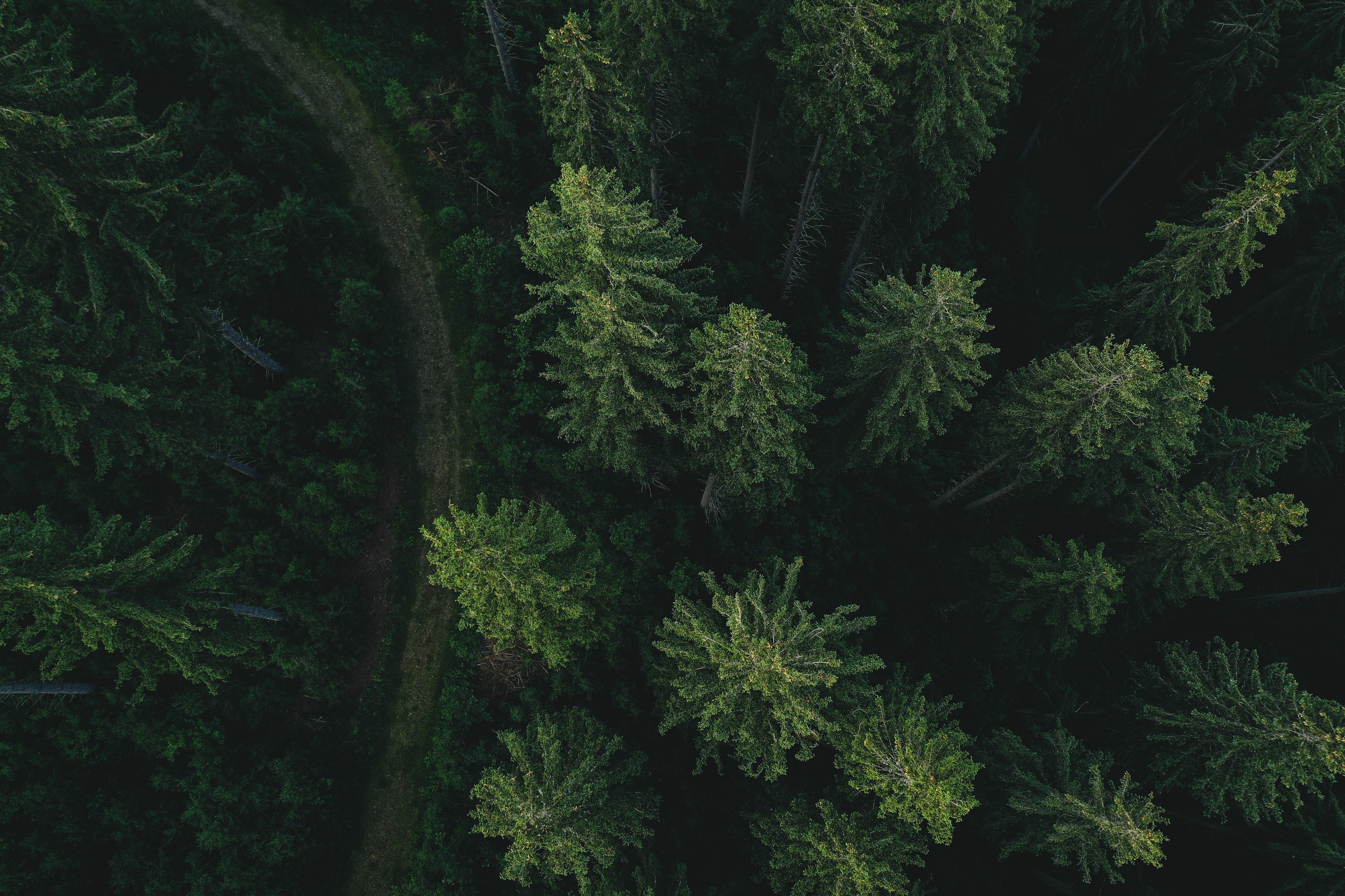 Sustainability